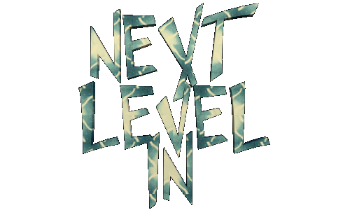 The words 'NEXT LEVEL IN' in large capital lettering