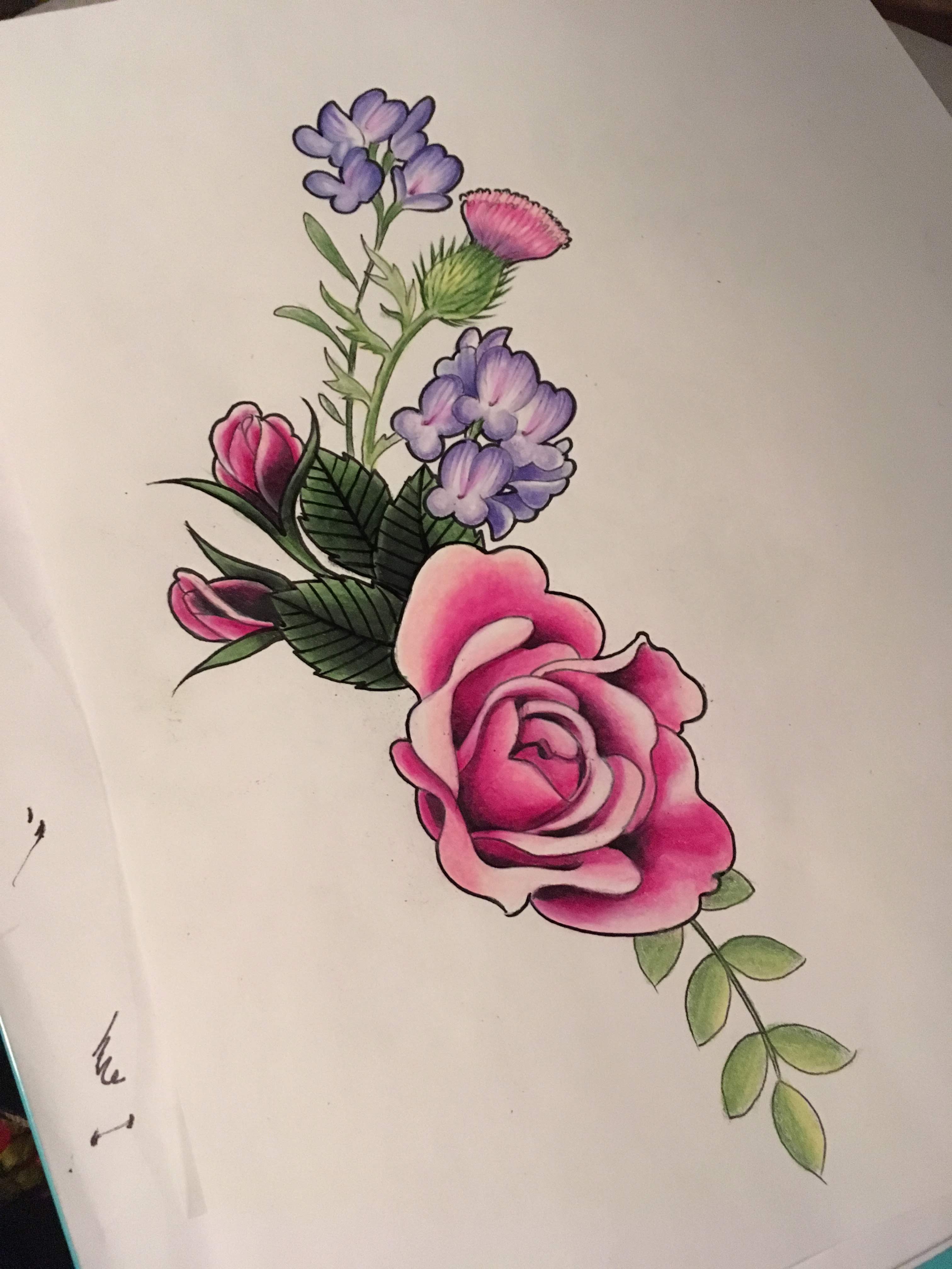 Colour drawing of the flowers