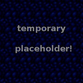Just a thing saying temporary placeholder, on a blue pattern similar to the background