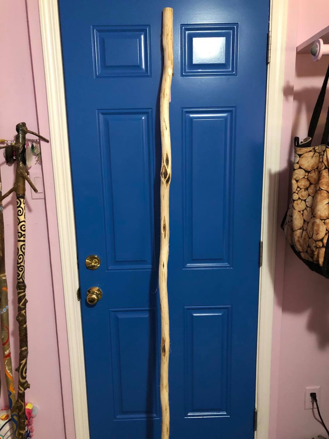 A white staff against a blue door.