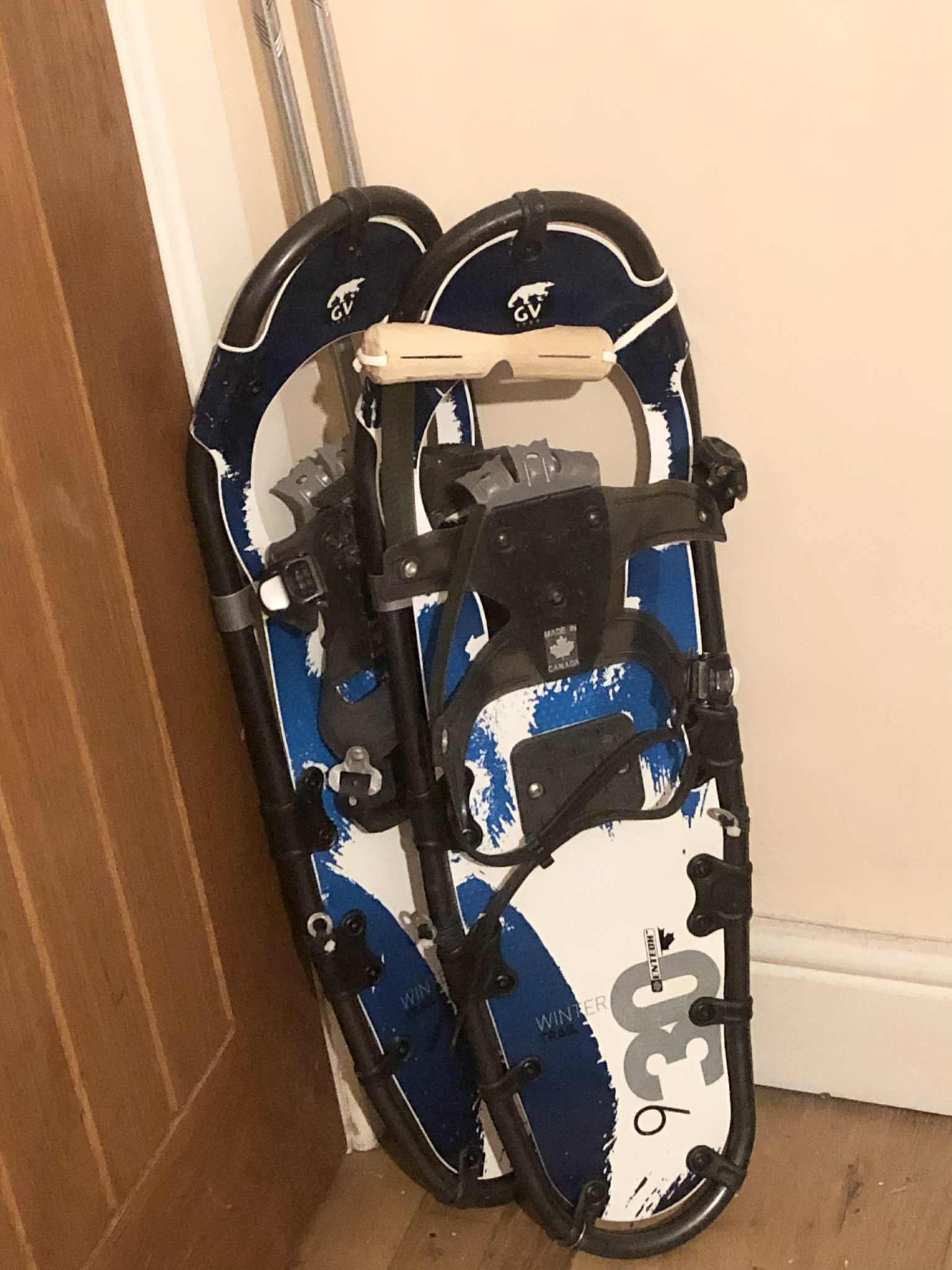 The snow goggles, hanging on a pair of snowshoes in the corner of the room.