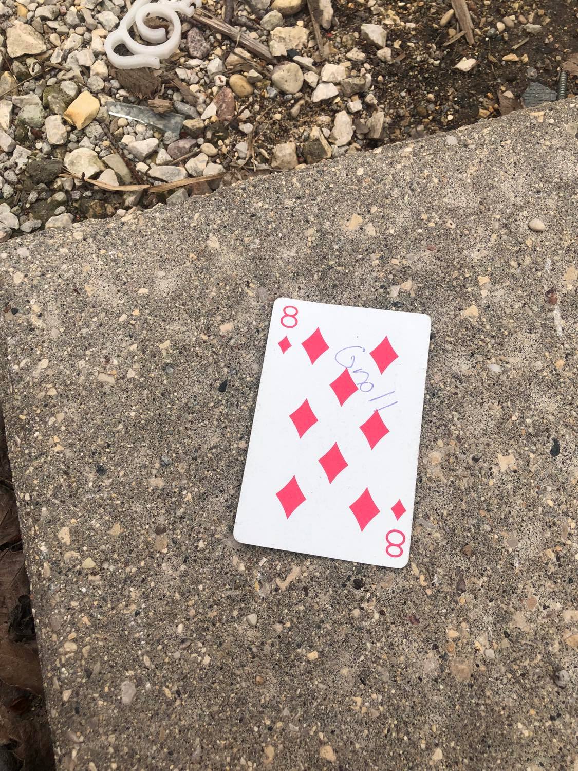 The eight of diamonds, laying on the ground before the creature.