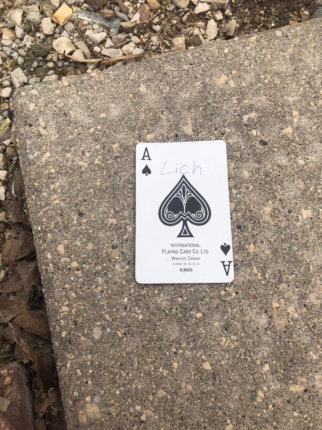 The ace of spades, laying on the ground before the creature.