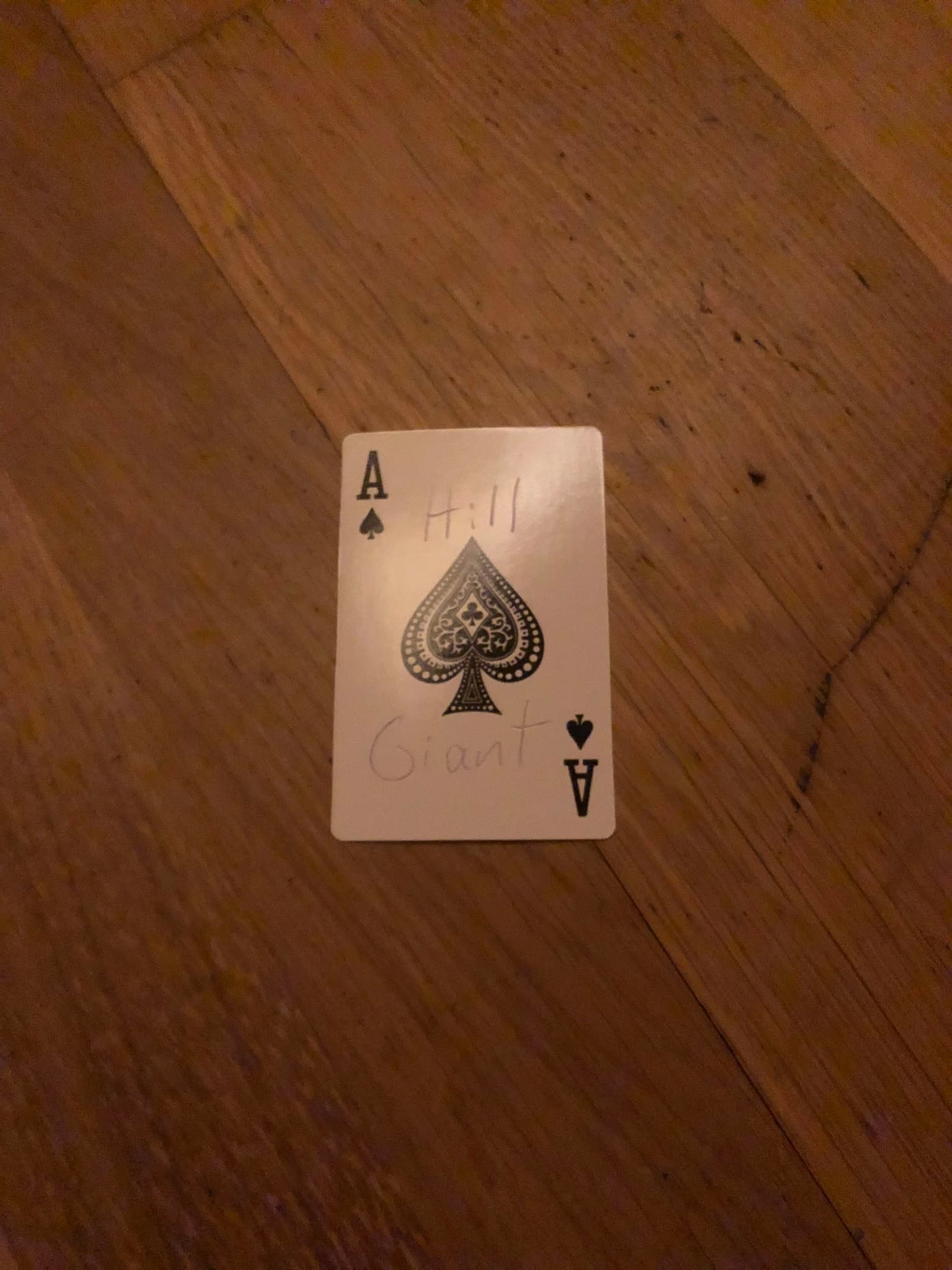 The ace of spades, thrown to the floor in front of the creature.