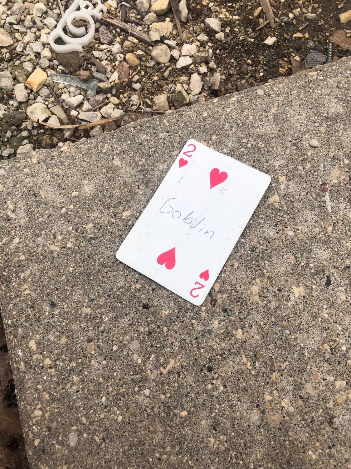 The two of hearts, laying on the ground before the creature.