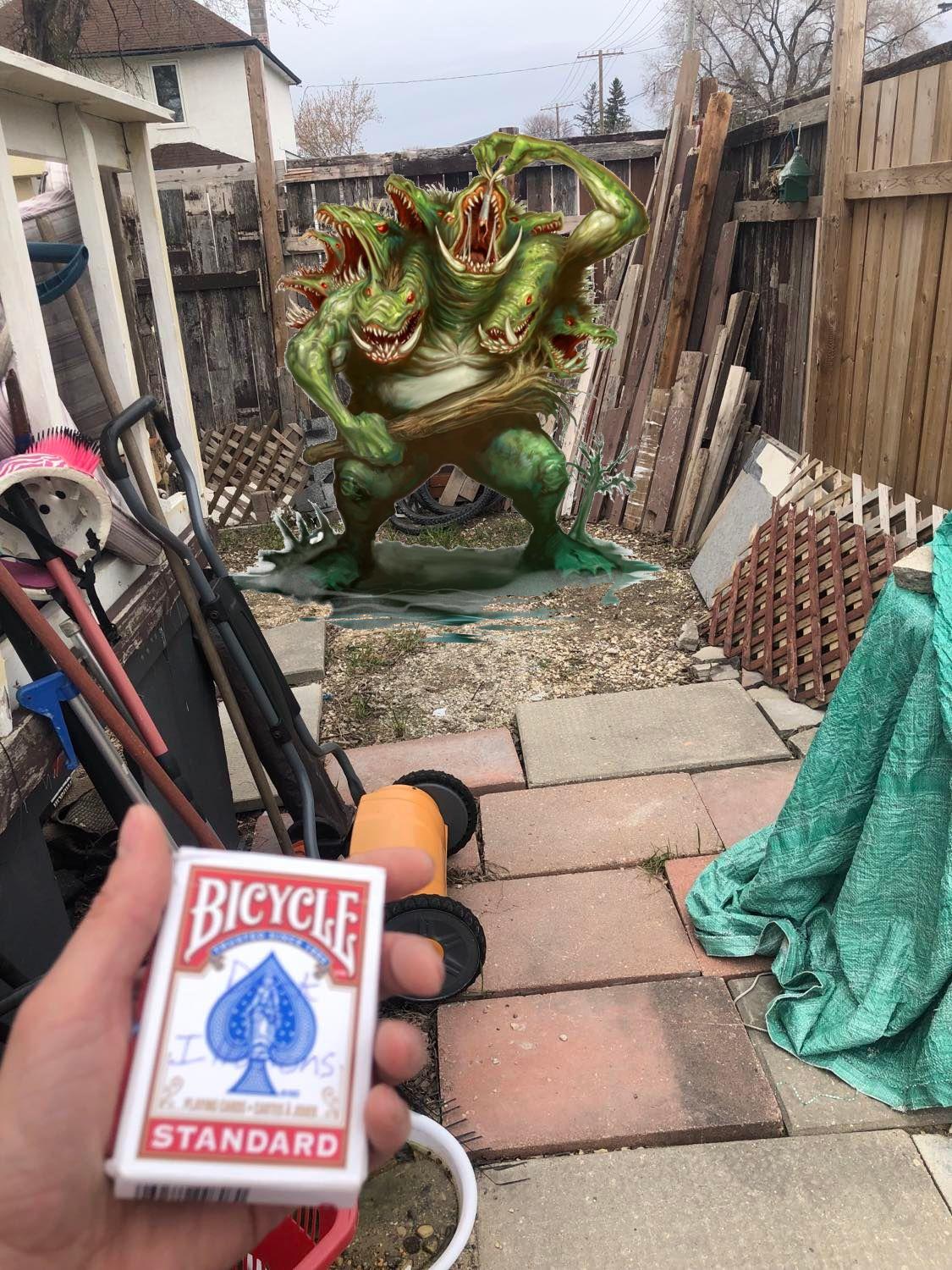 AAAAUUUUUUGGGGGHHHHH!!!! A troll is in the yard!!!! He's green and ugly and is holding a club and has like five, six heads growing out of it, like growing out of its back!!!! A hideous creature!!!! You hold out your deck, ready to draw.