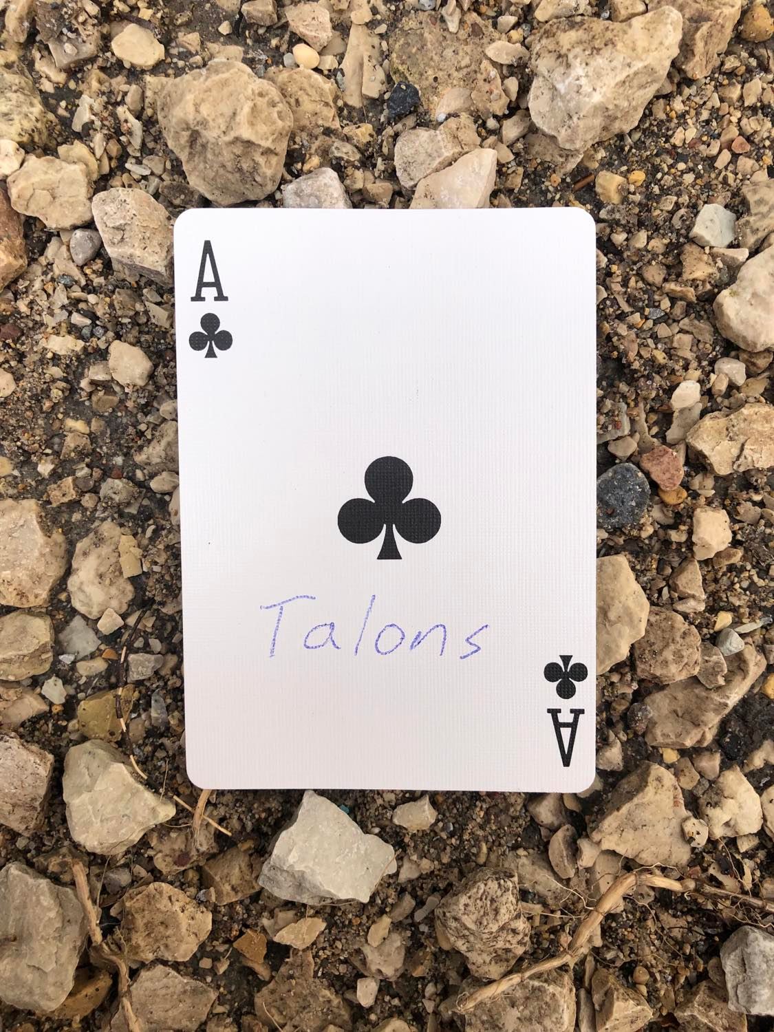 The ace of clubs with Talons written on it, laying on the gravel path.