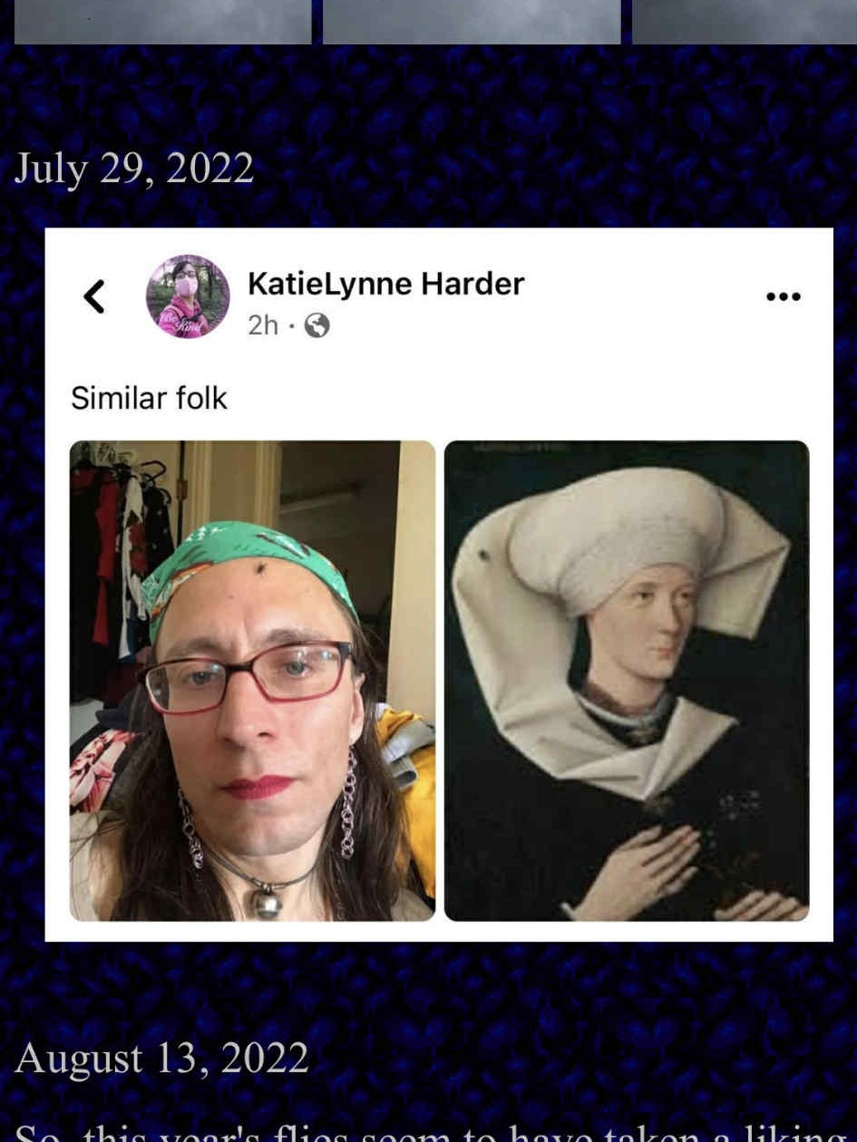 A mobile screenshot of page 1 of the fly chronicles, where Kabutroid posted similar folk, with a photo of herself with a fly on her head, beside an image of the hofer family painting.