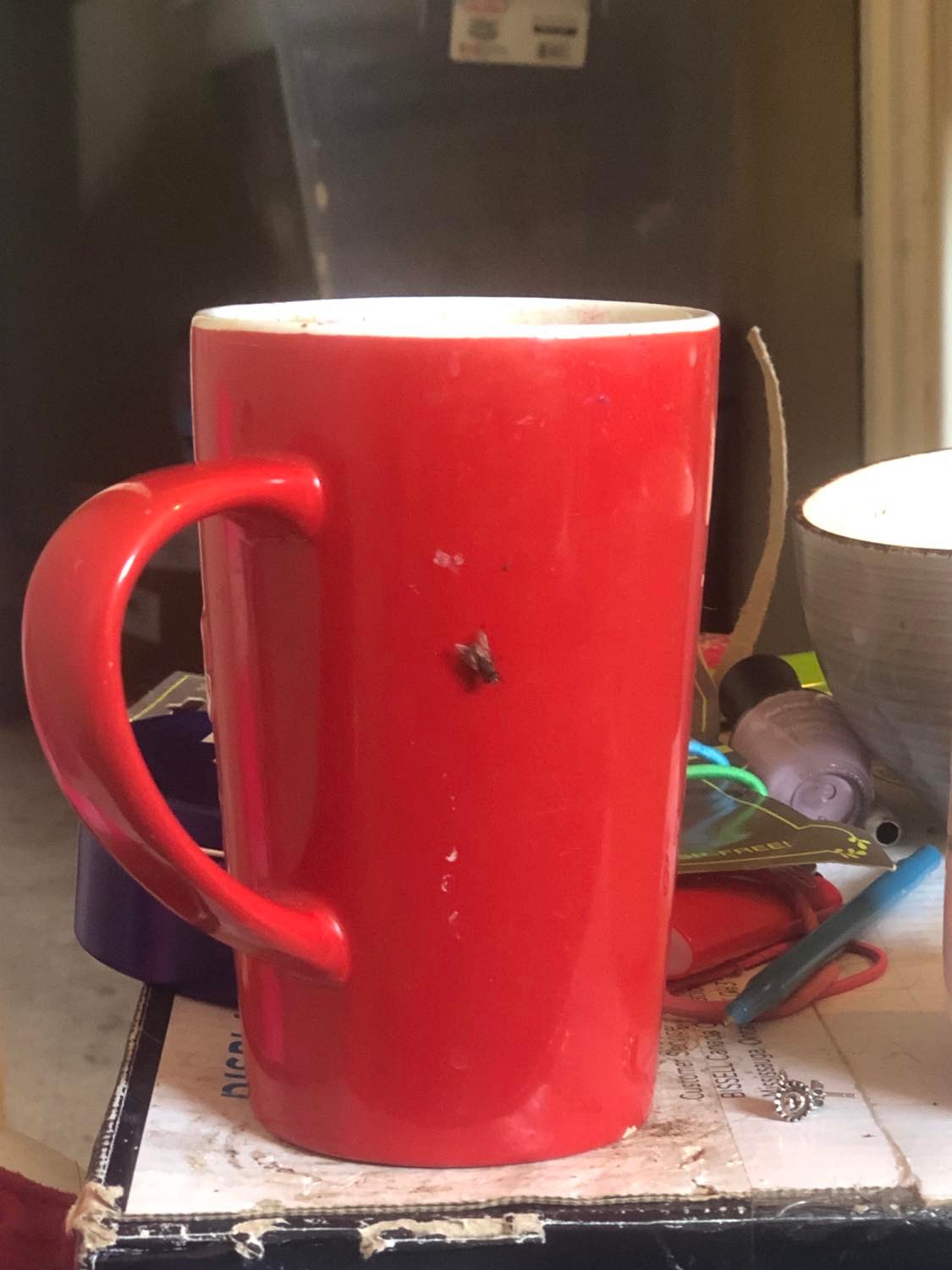 A housefly sharing my coffee, sitting on the outside of my red coffee mug and eating the sugar traces on the side.