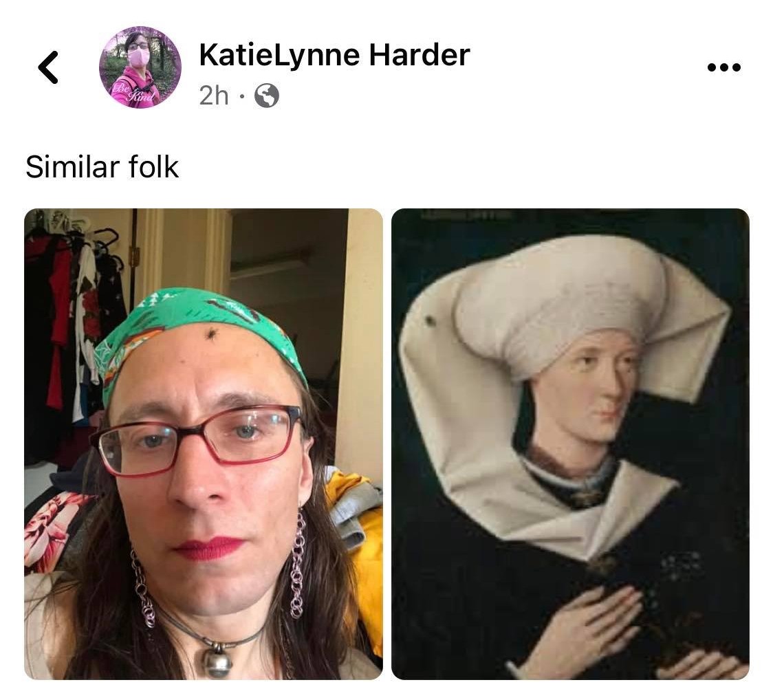 A facebook post, with Kabs posting 'similar folk', and two pictures posted, one of Kabutroid herself with a fly on her head, and the 'Portrait of a Woman of the Hofer Family' painting beside it, the famous painting of a woman with a fly on her head.