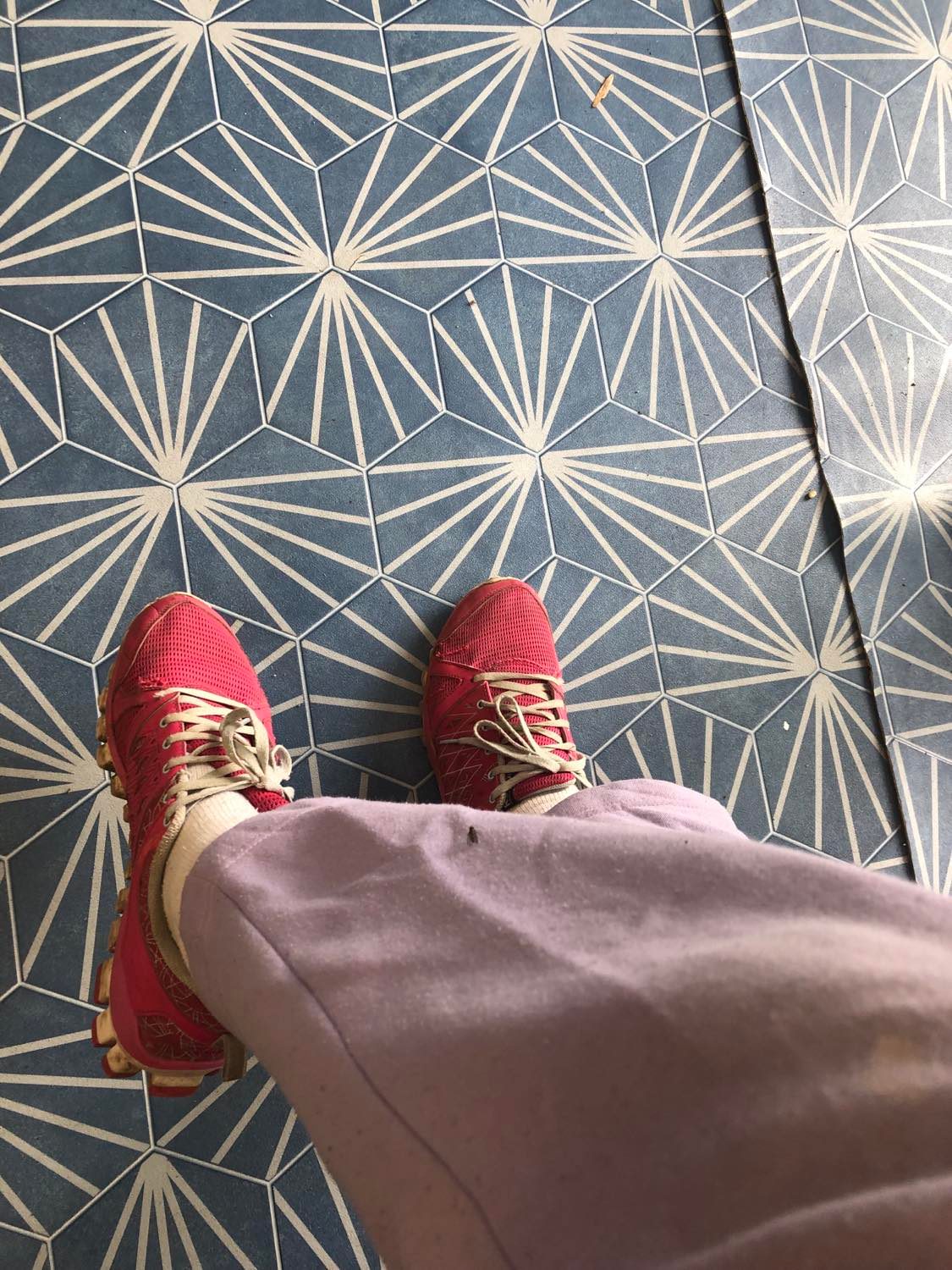 Kabutroid's legs being crossed, wearing pink sweat pants and pink shoes, with a black and white line-patterned tile floor beneath, and a little housefly resting on her right leg
