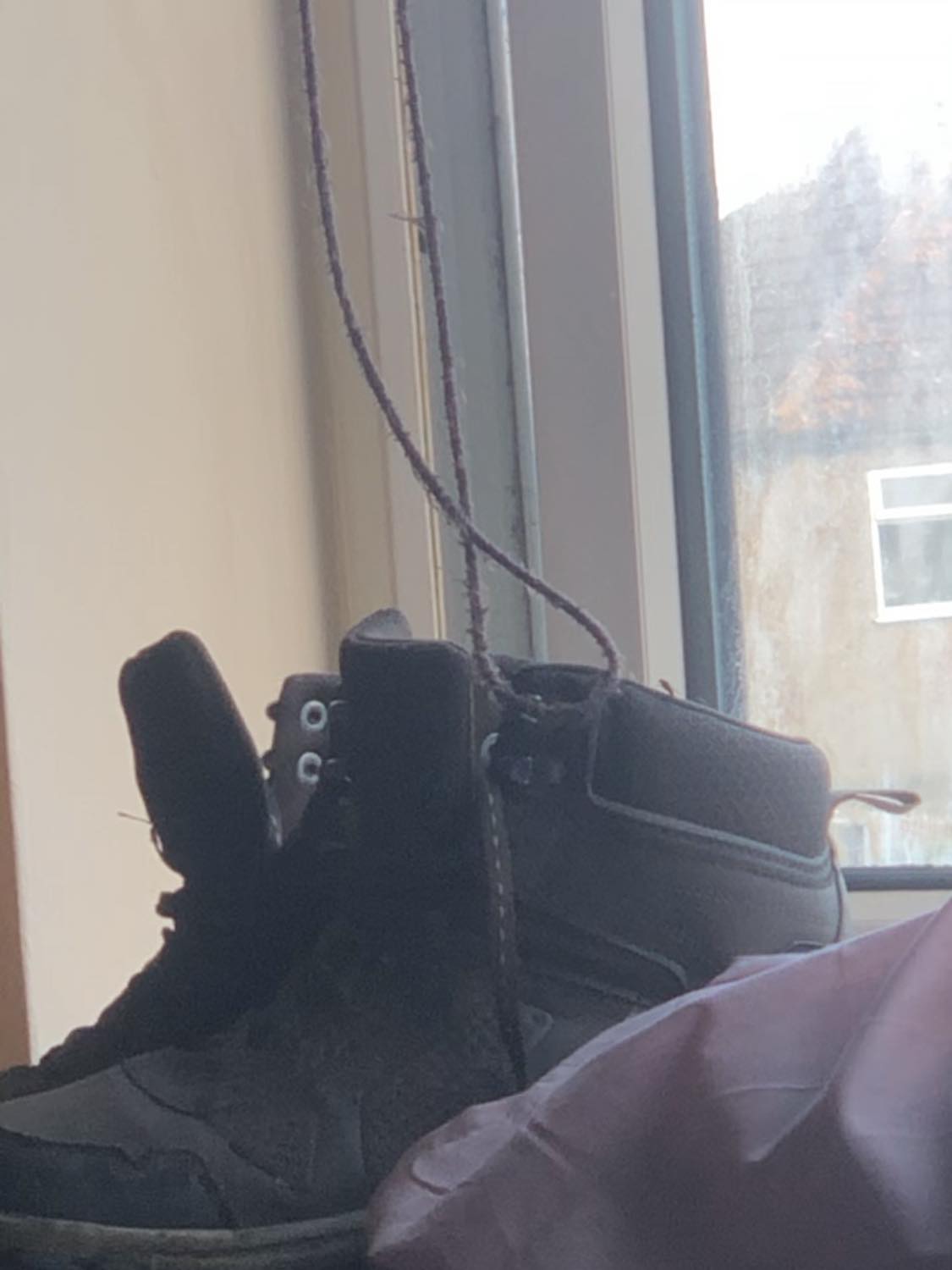 Our little housefly friend sitting on my Abby's shoes, a brown leather-style high-top, sitting beside the open window. The fly is standing on the ankle ridge, looking into the room.