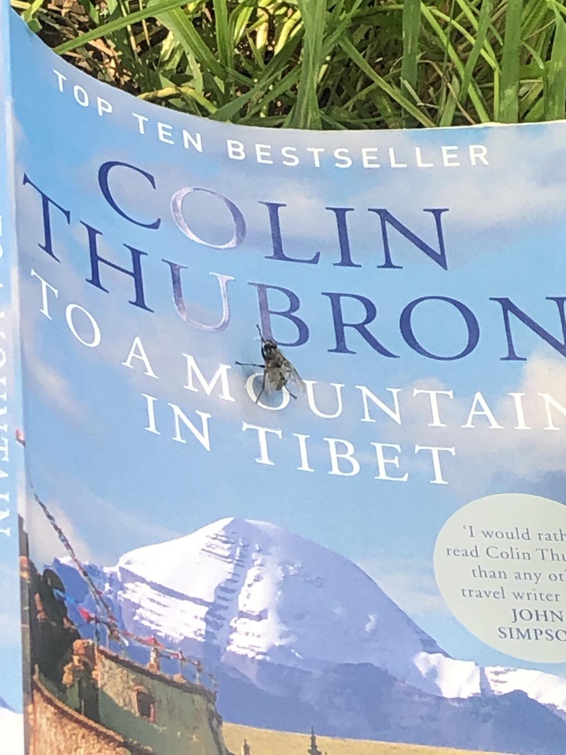 Our fly friend sitting on the cover of the book 'To a mountain in Tibet', which is laying face-open on the grass. The fly appears to be in the middle of cleaning himself, sitting on top of the O of mountain.