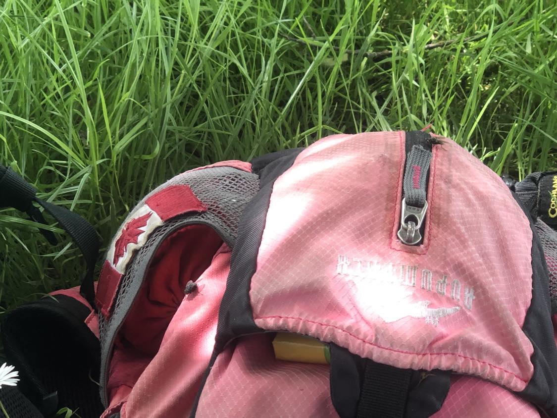 A slightly further away pic of Kabutroid's backpack, with two flies on it this time. One is near the side pocket with a canada flag sewn onto it, the british flag is on the other pocket, and the second fly is once again sitting near the zipper on the back.