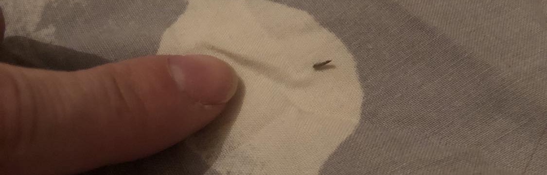 A little little tiny fly sitting on a white patterned spot of a blanket, and my ginormous finger by comparison, about a centimeter away from him.