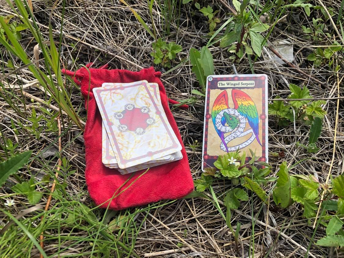 The wish card beside the deck, in a grassy patch of fresh green plants
