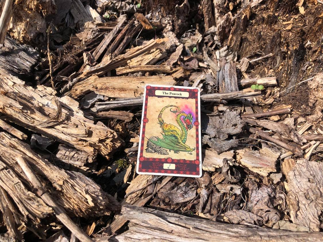 A green cockatrice, the card laying on the forest debris.