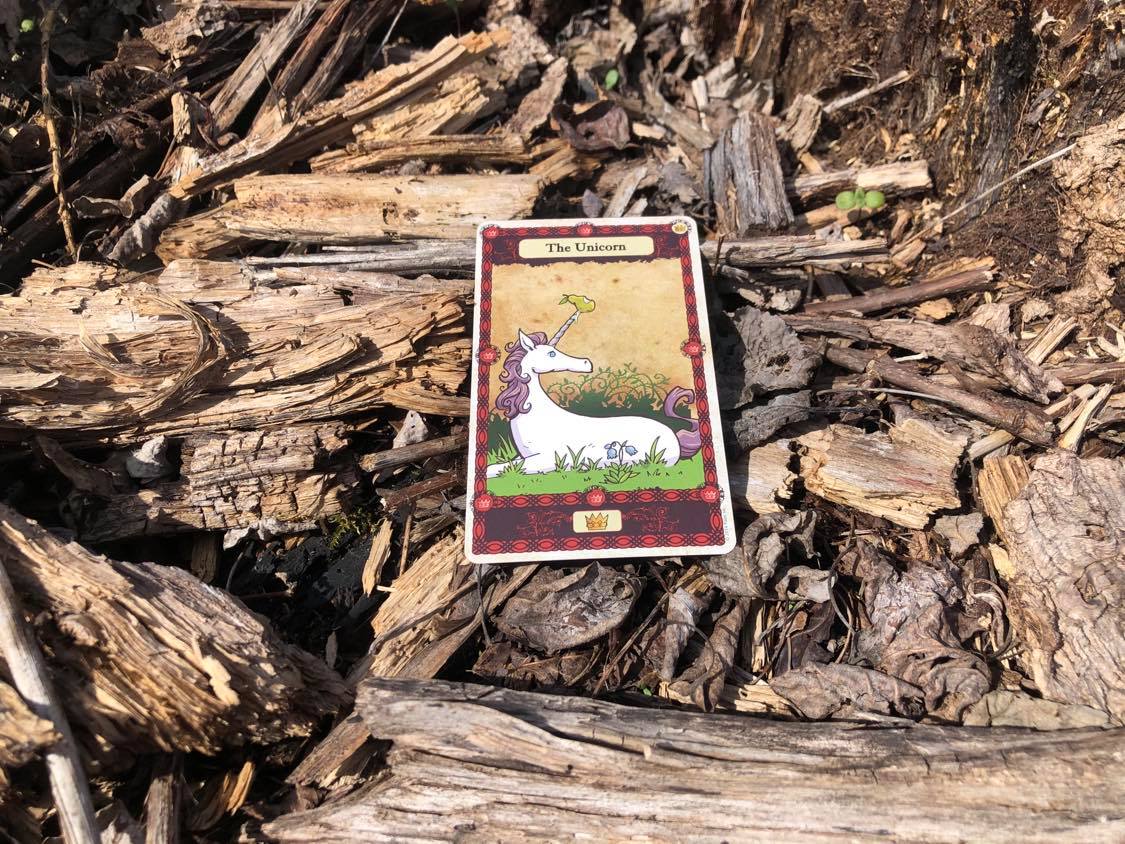 A unicorn in a field, the card laying on the forest debris.
