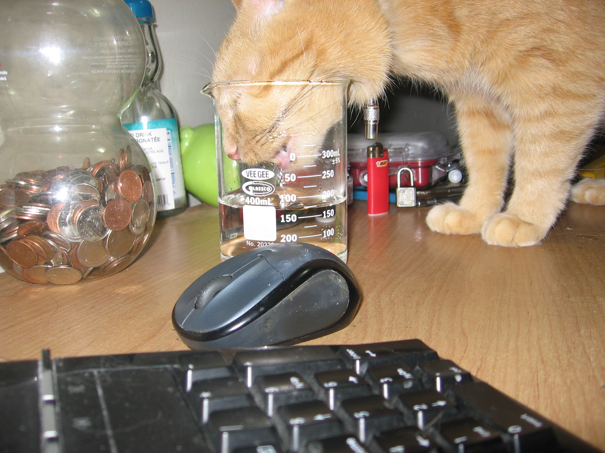 Another pic of Jack drinking water, a Pom juice contaner is holding loose change, and a keyboard and mouse are in the foreground.