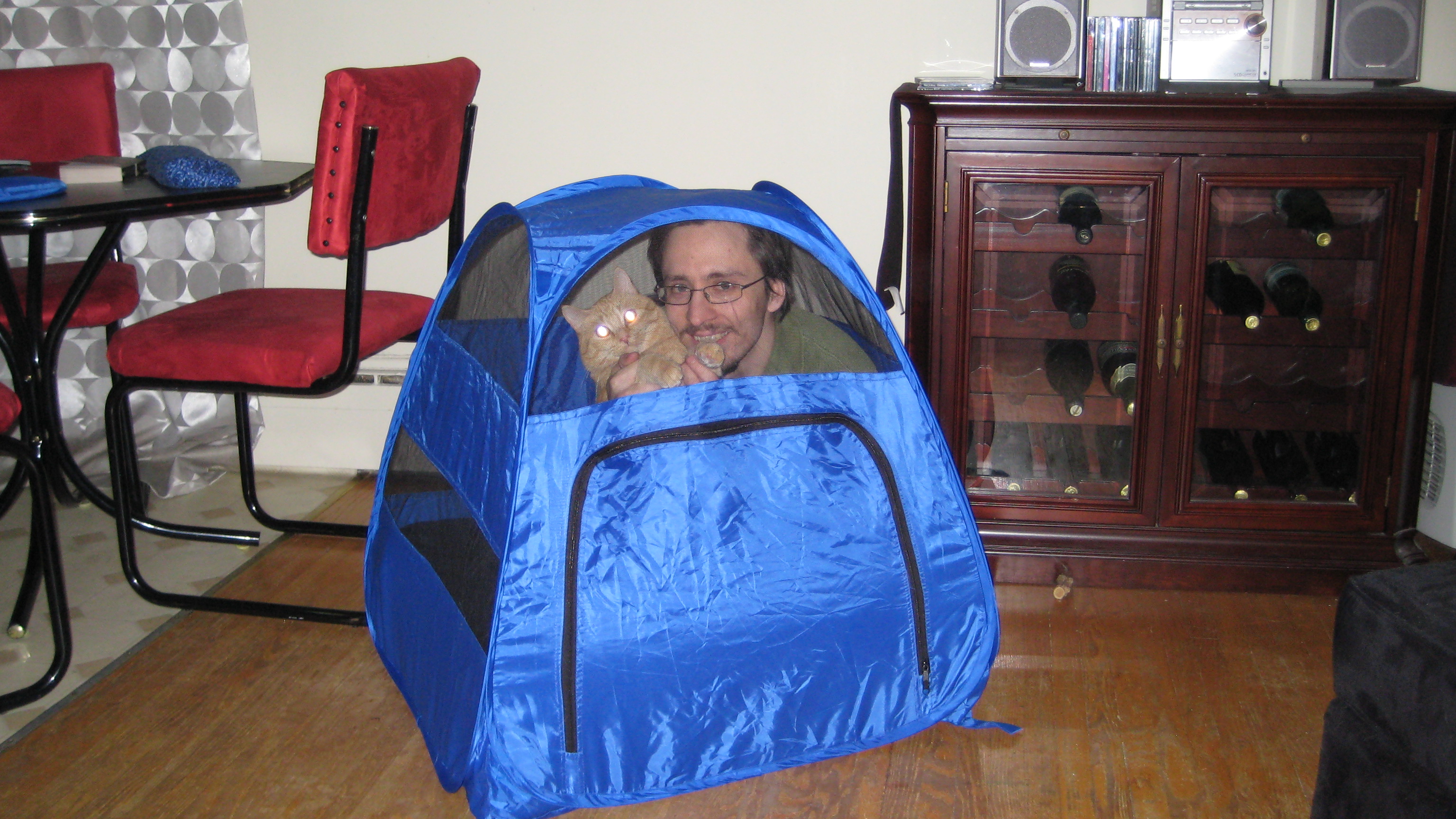 Kabutroid and Jack huddled up inside of a little mini blue cat tent, set up in a hardwood livingroom.
