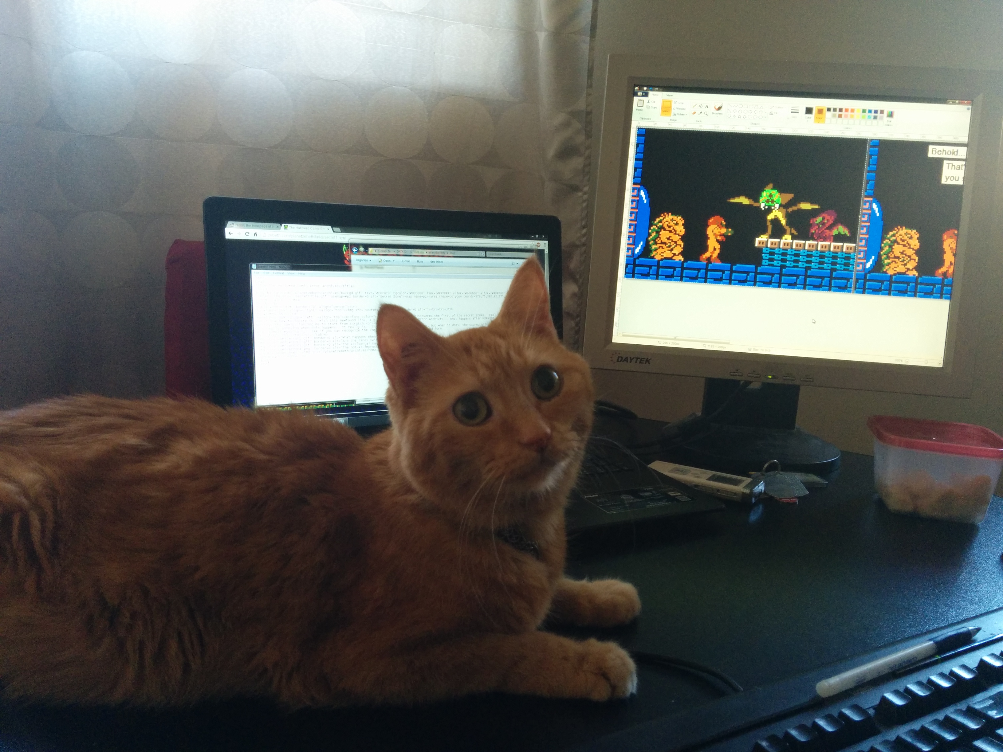 My last photo, Jack sitting in front of the keyboard on my desk, with the comic strip being made in the background.