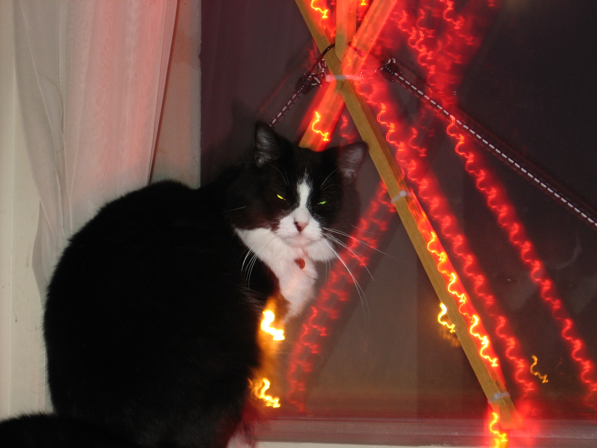 Nikita standing in front of the neon blair witch sign that Kabutroid had made.