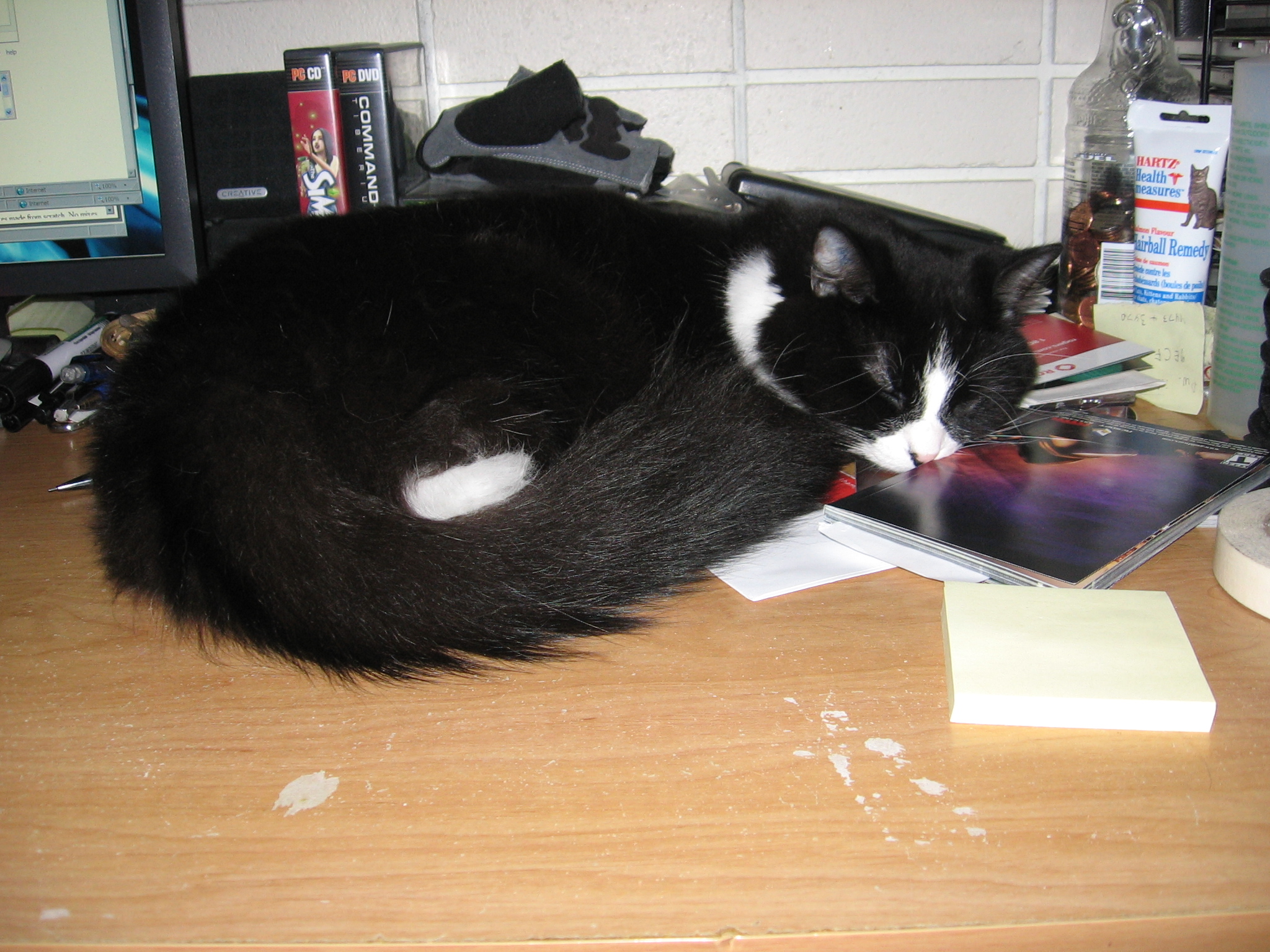 Nikita curled up on the computer desk, overtop of a pile of papers and books.