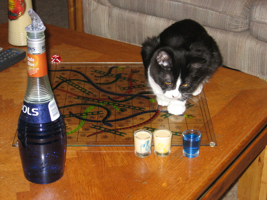 Nikita looking at some filled shotglasses, on a table with a glass board game of shotglass snakes and ladders.