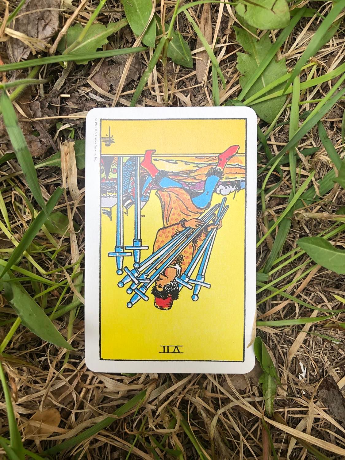 The Seven of Swords, inverted, laying in the grass.