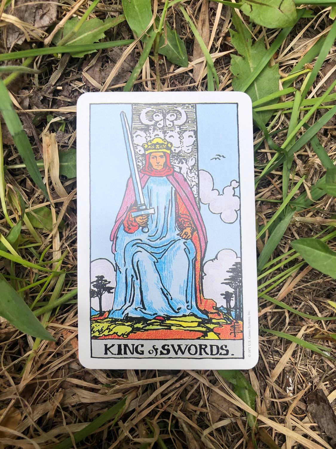 The King of Swords, upright, laying in the grass.