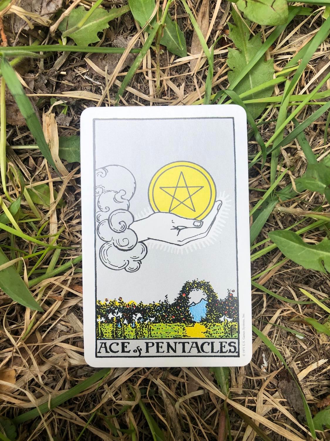 The Ace of Pentacles, upright, laying in the grass.