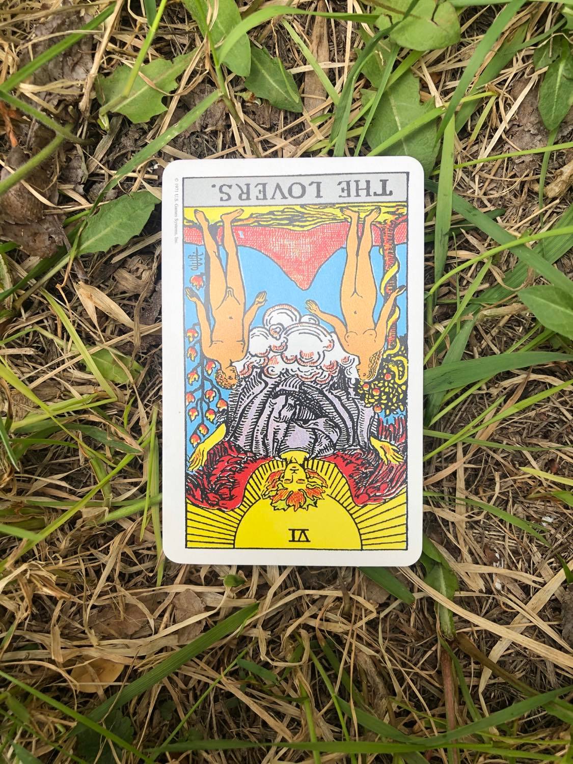 The Lovers, inverted, laying in the grass.