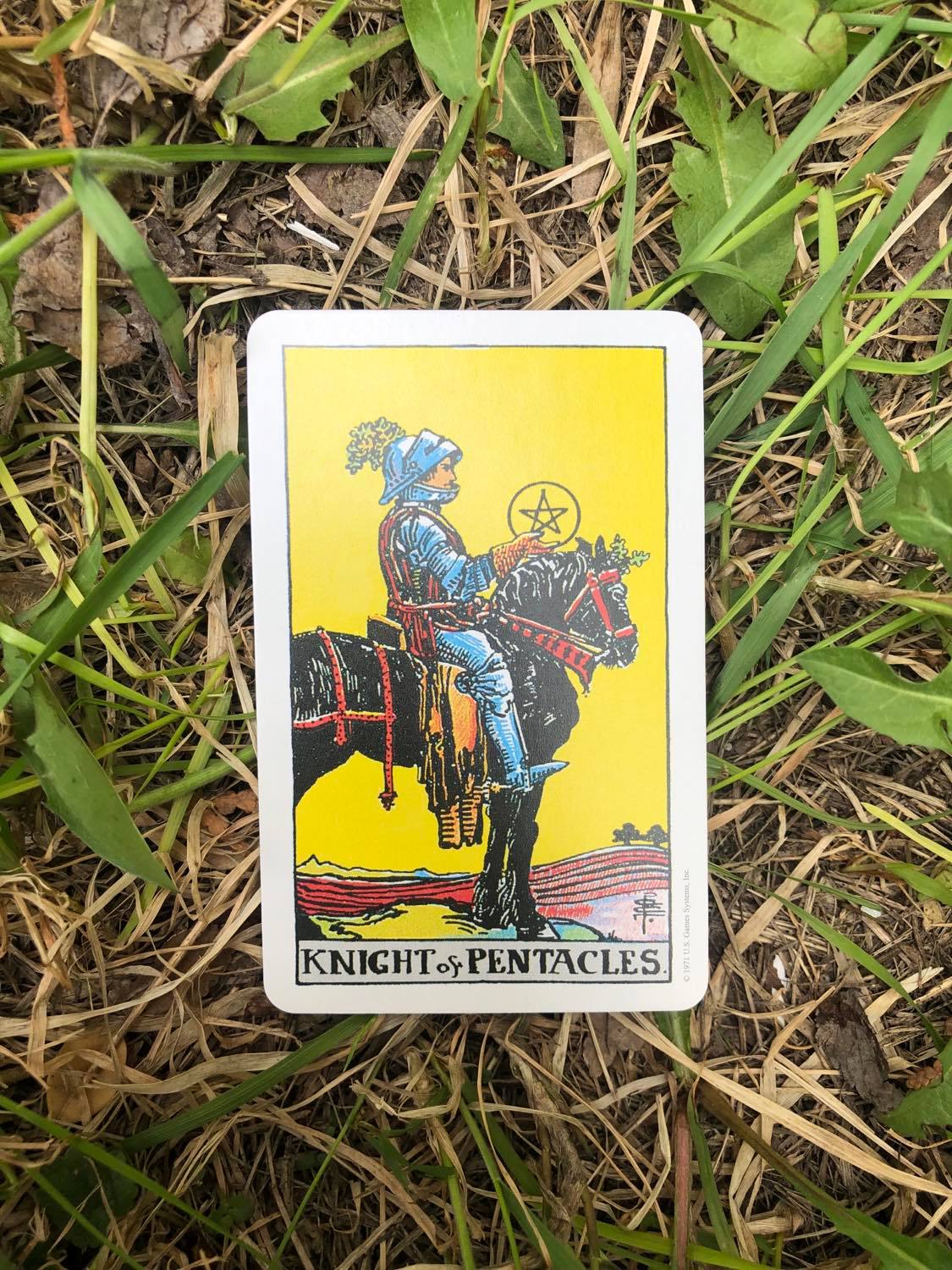 The Knight of Pentacles, upright, laying in the grass.