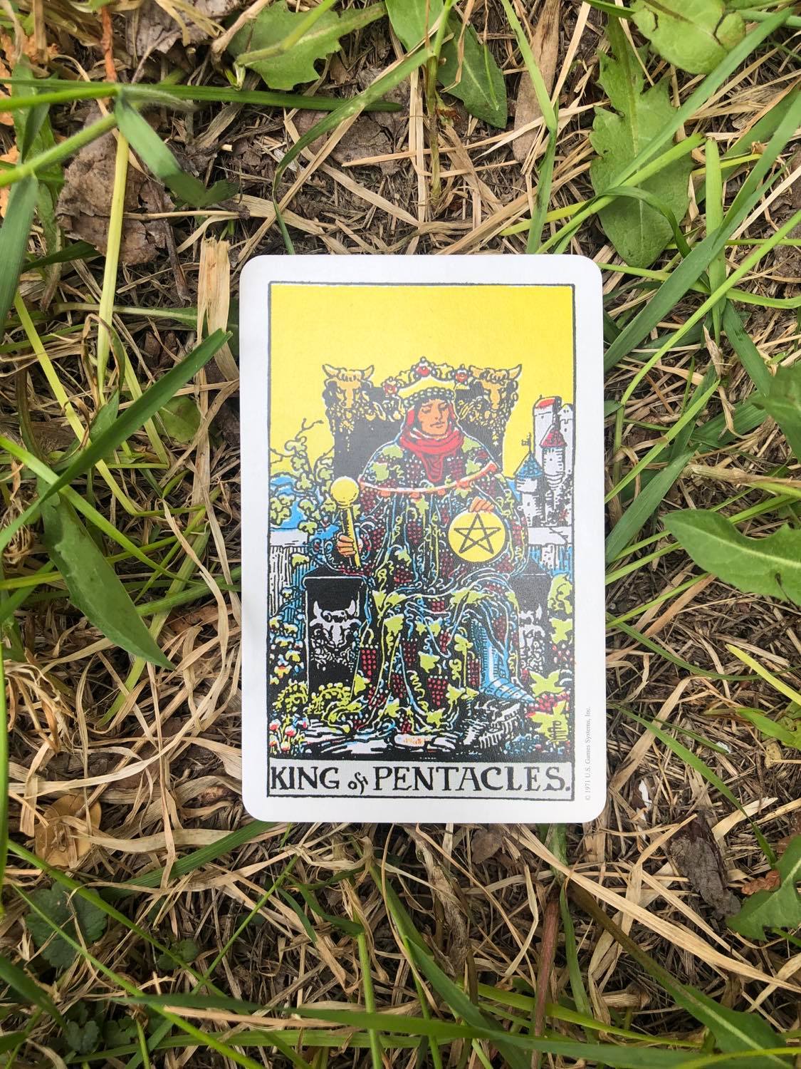 The King of Pentacles, upright, laying in the grass.
