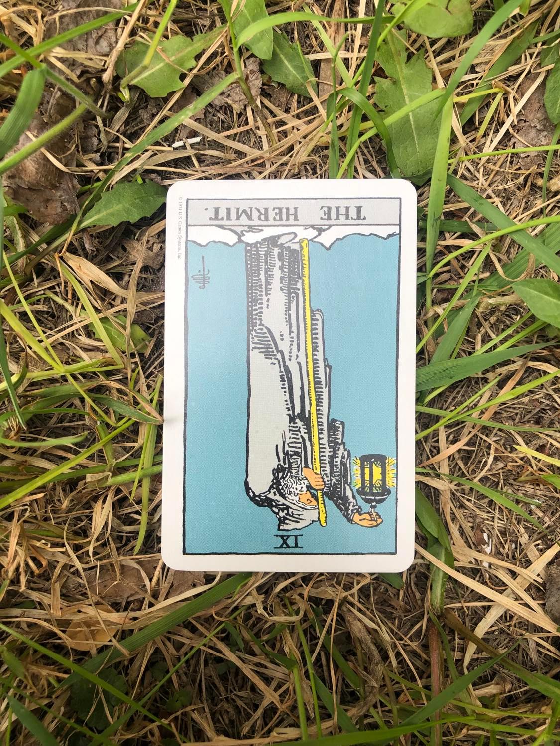 The Hermit, inverted, laying in the grass.