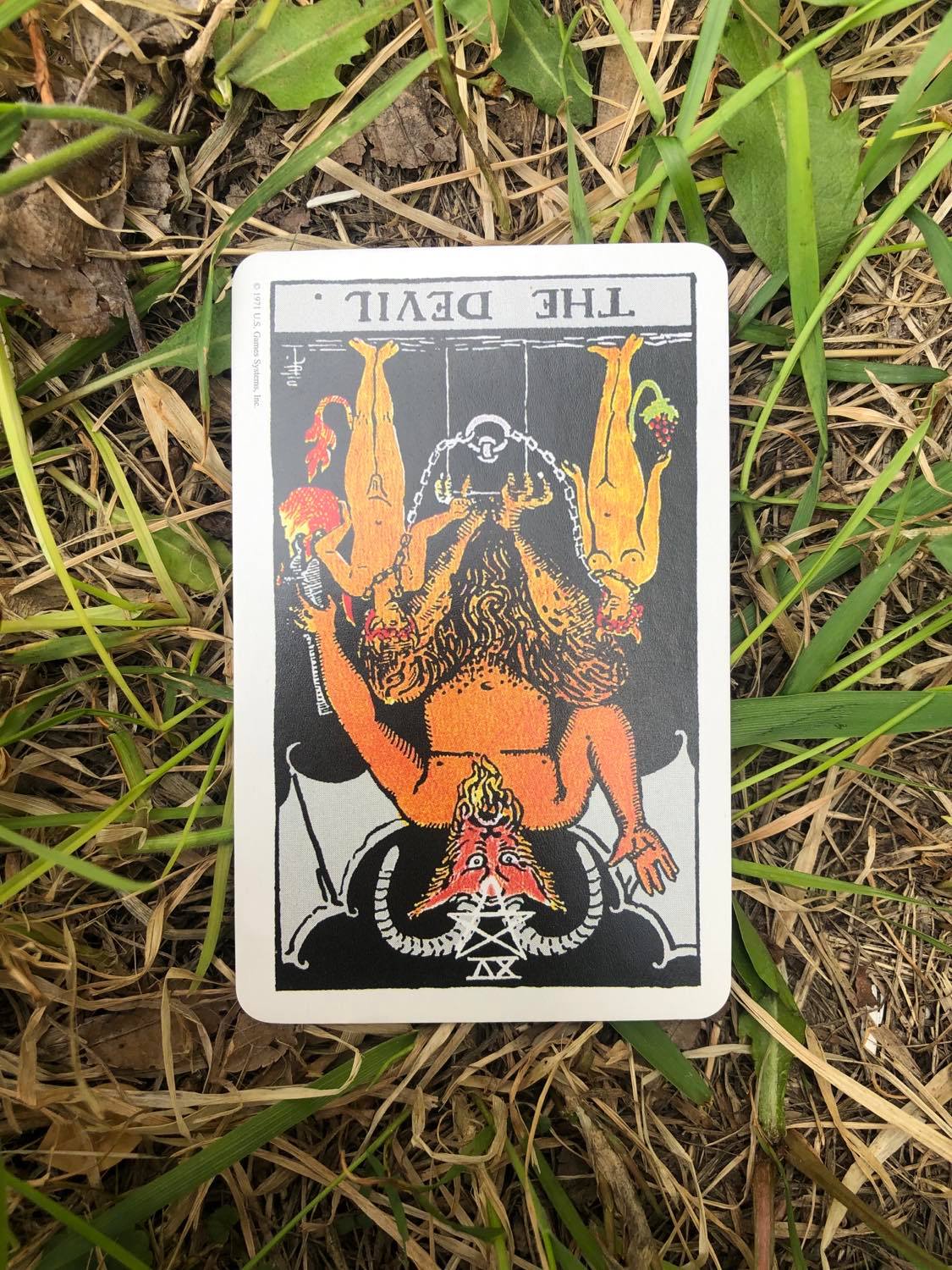 The Devil, inverted, laying in the grass.
