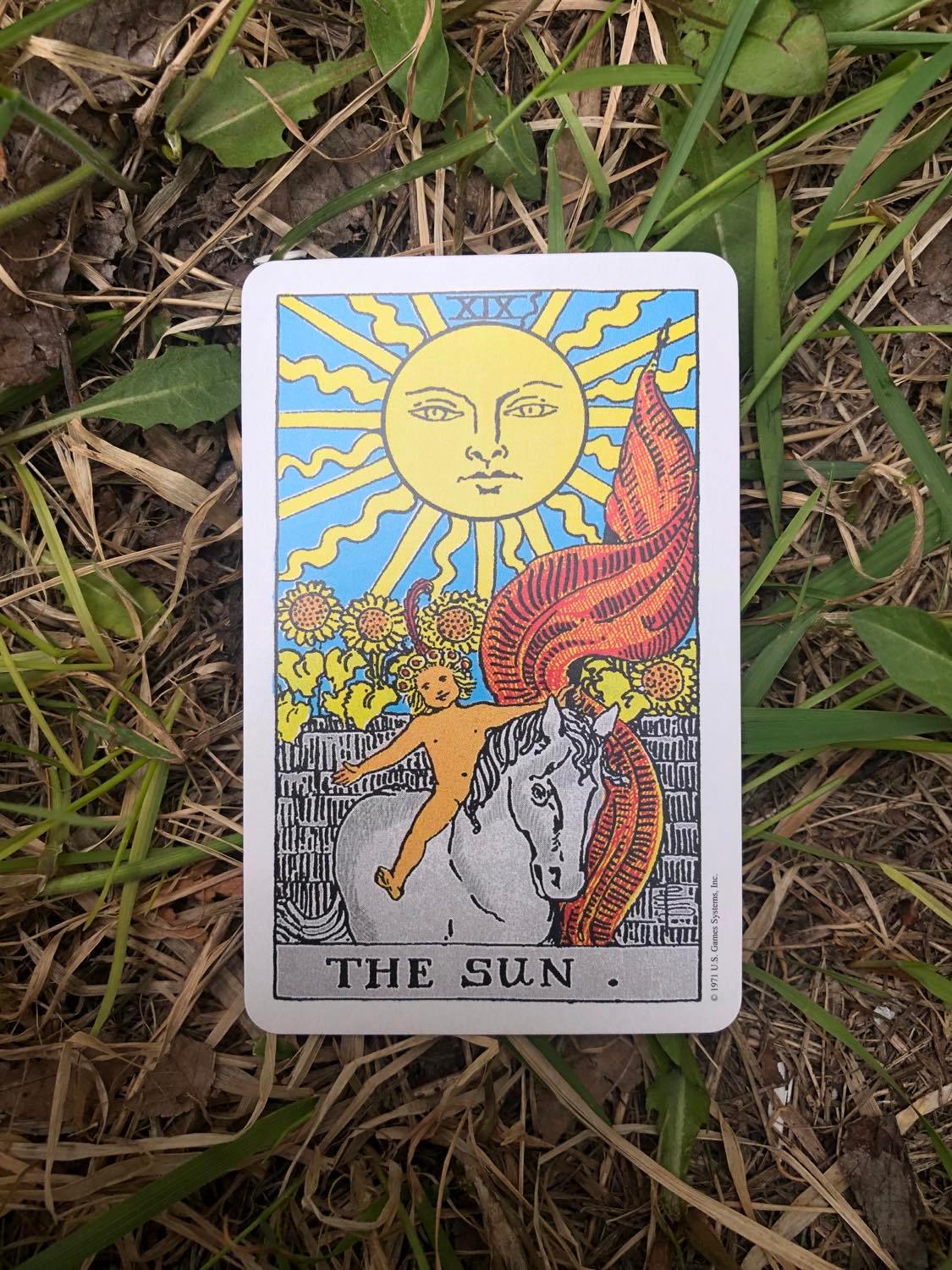 The Sun, upright, laying in the grass.
