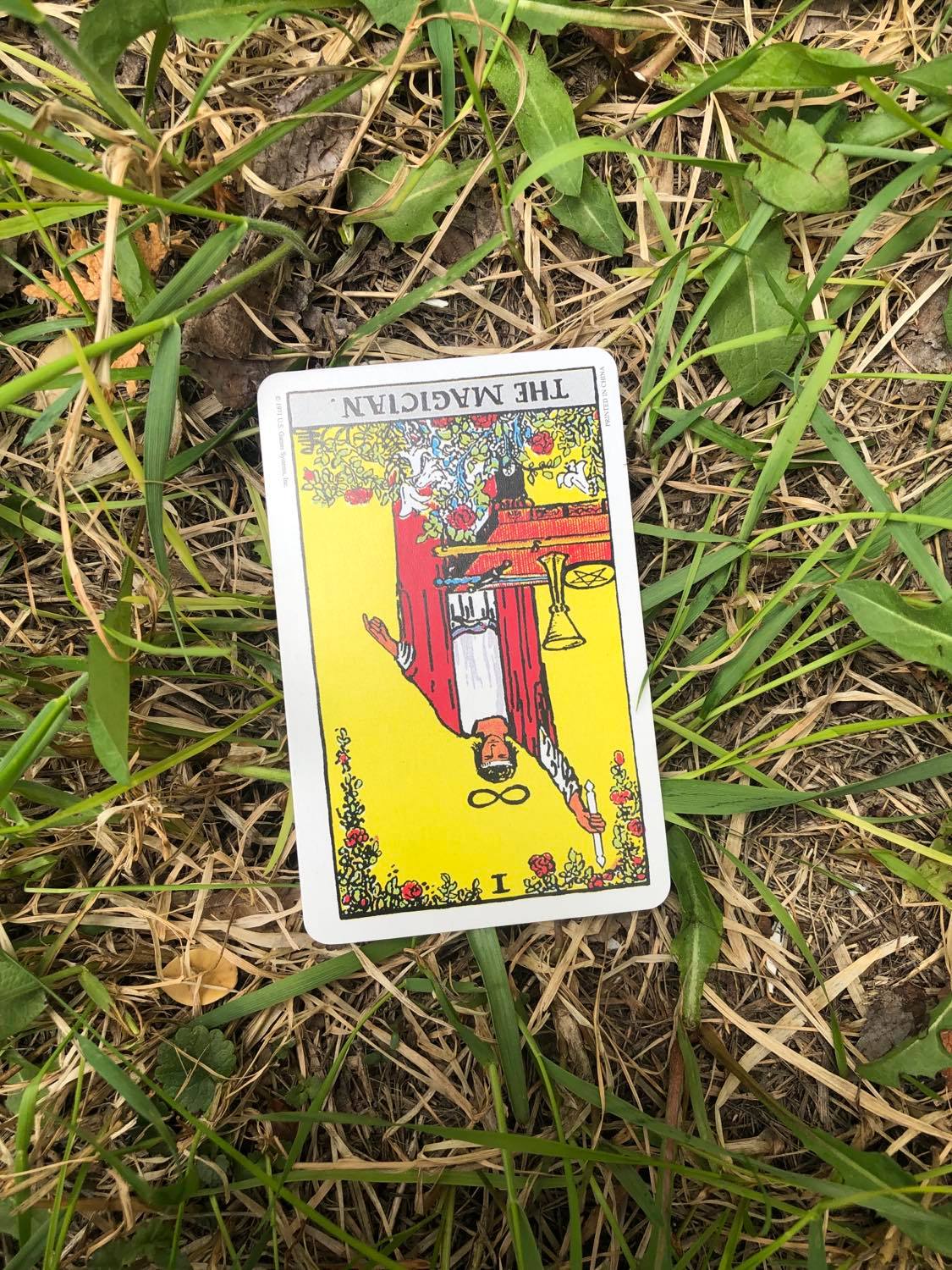 The Magician, inverted, laying in the grass.