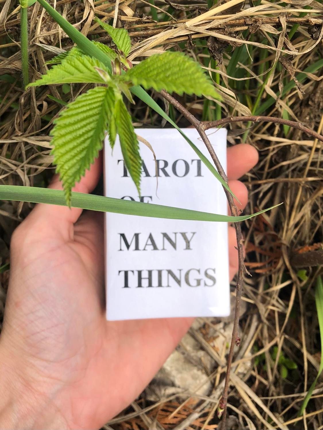 Found in the grasses, the tarot of many things. A plain white box with sharp lettering. You hold it aloft in the grass, barely able to believe what you're seeing.