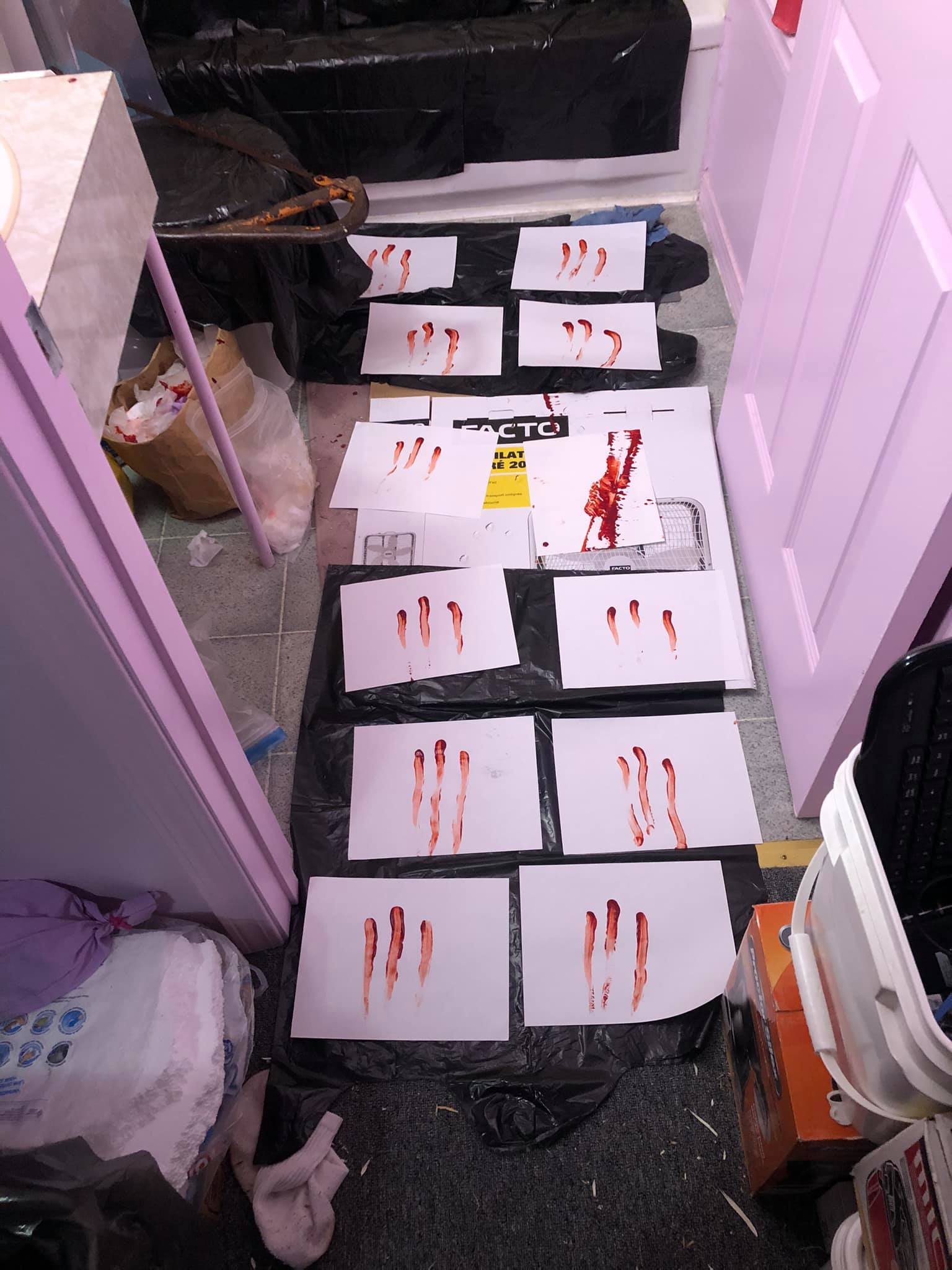 There are twelve canvases here, all laid out in two rows. Most of them have three streaks of blood down them, while one is a snarled looking mess of red.