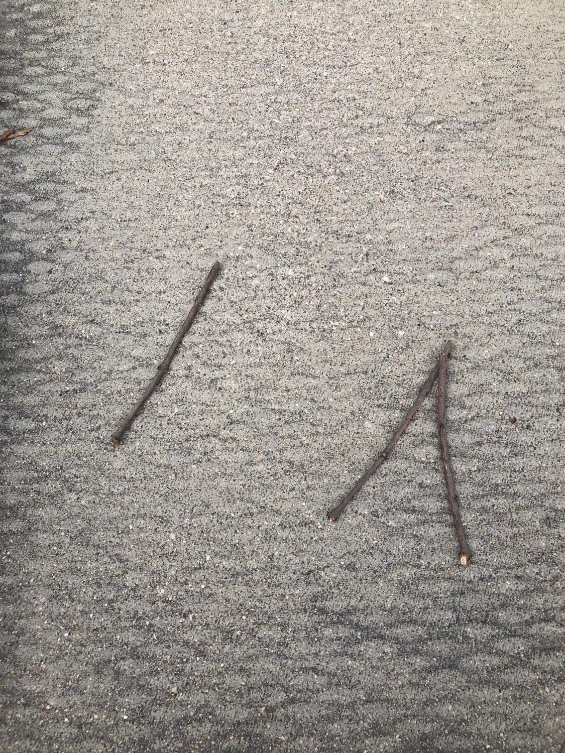 Three sticks on the ground, somewhat resembling a talking face, with one stick being the eyes, and the other two sticks forming a mouth.