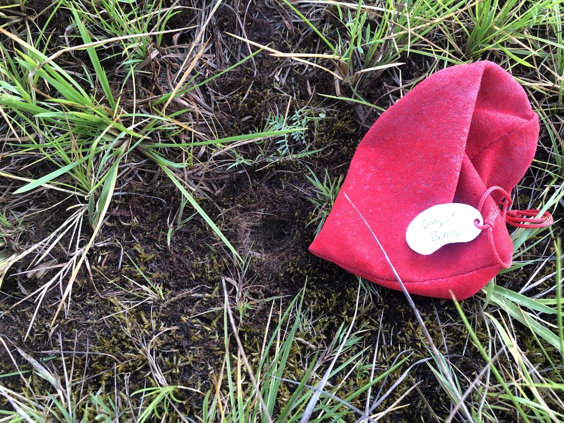 A red pouch labelled Bag of Beans, sitting beside a small hole in the ground surrounded by grass and moss.