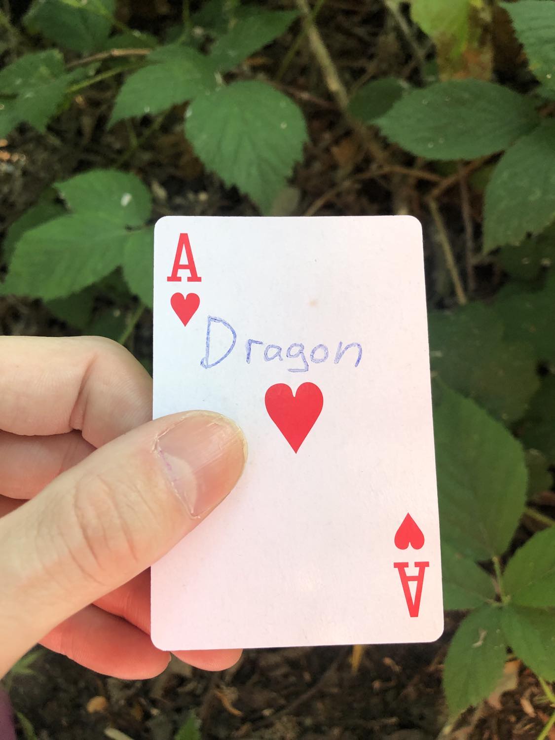 The ace of hearts with the word Dragon written on it, held above the brush.