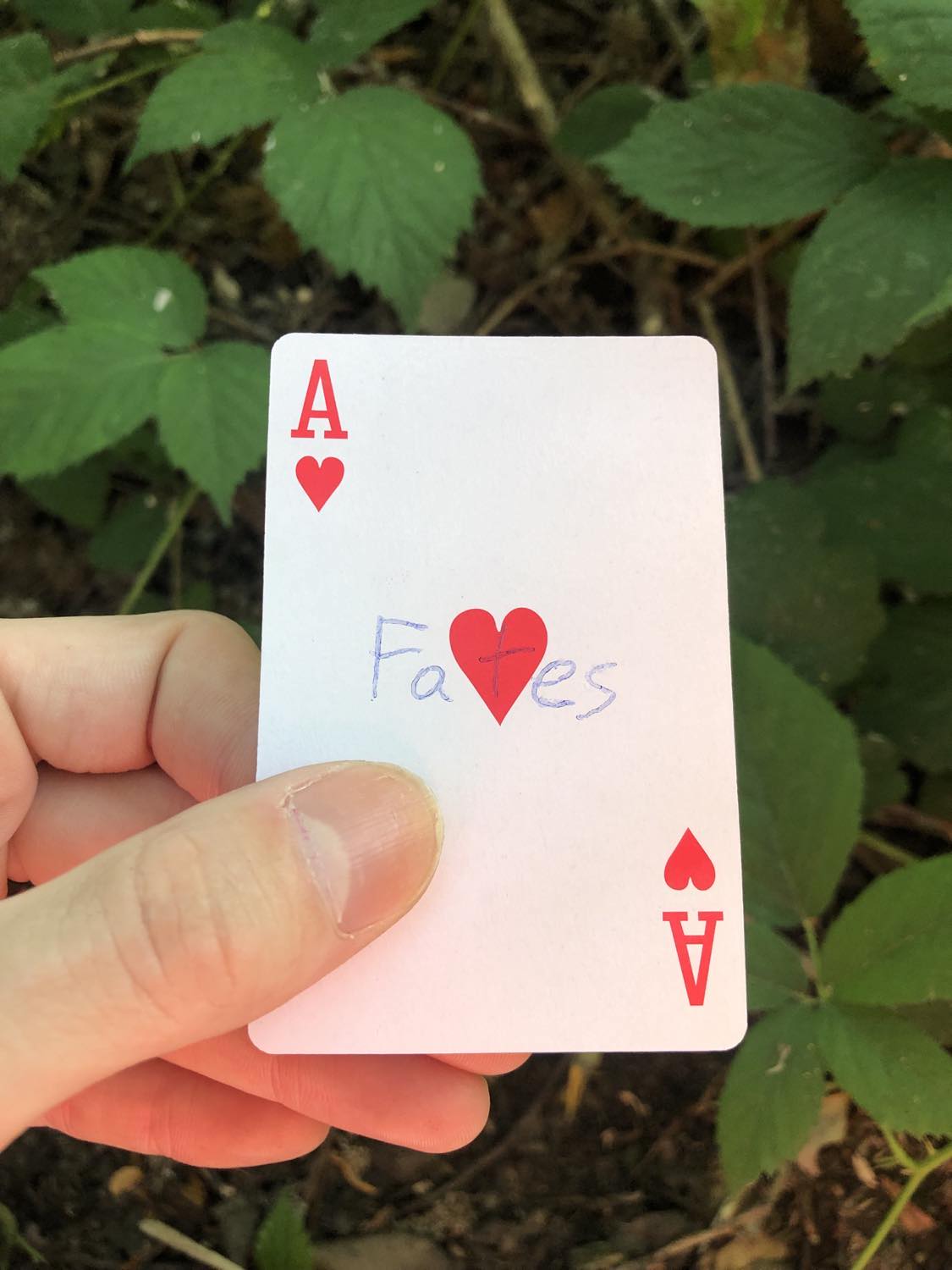The ace of hearts with the word Fates written on it, held above the brush.