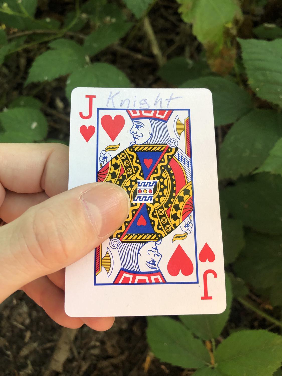 The jack of hearts with the word Knight written on it, held above the brush.