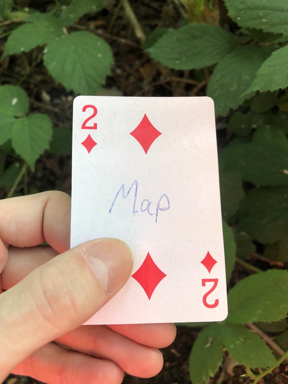 The two of diamonds with the word Map written on it, held above the brush.