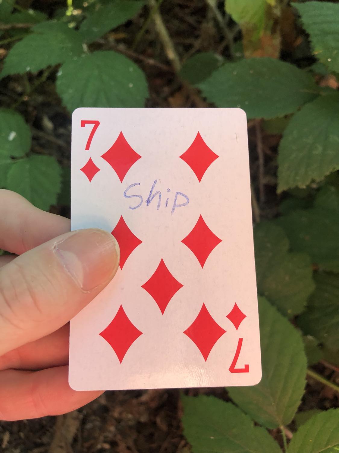 The seven of diamonds with the word Ship written on it, held above the brush.
