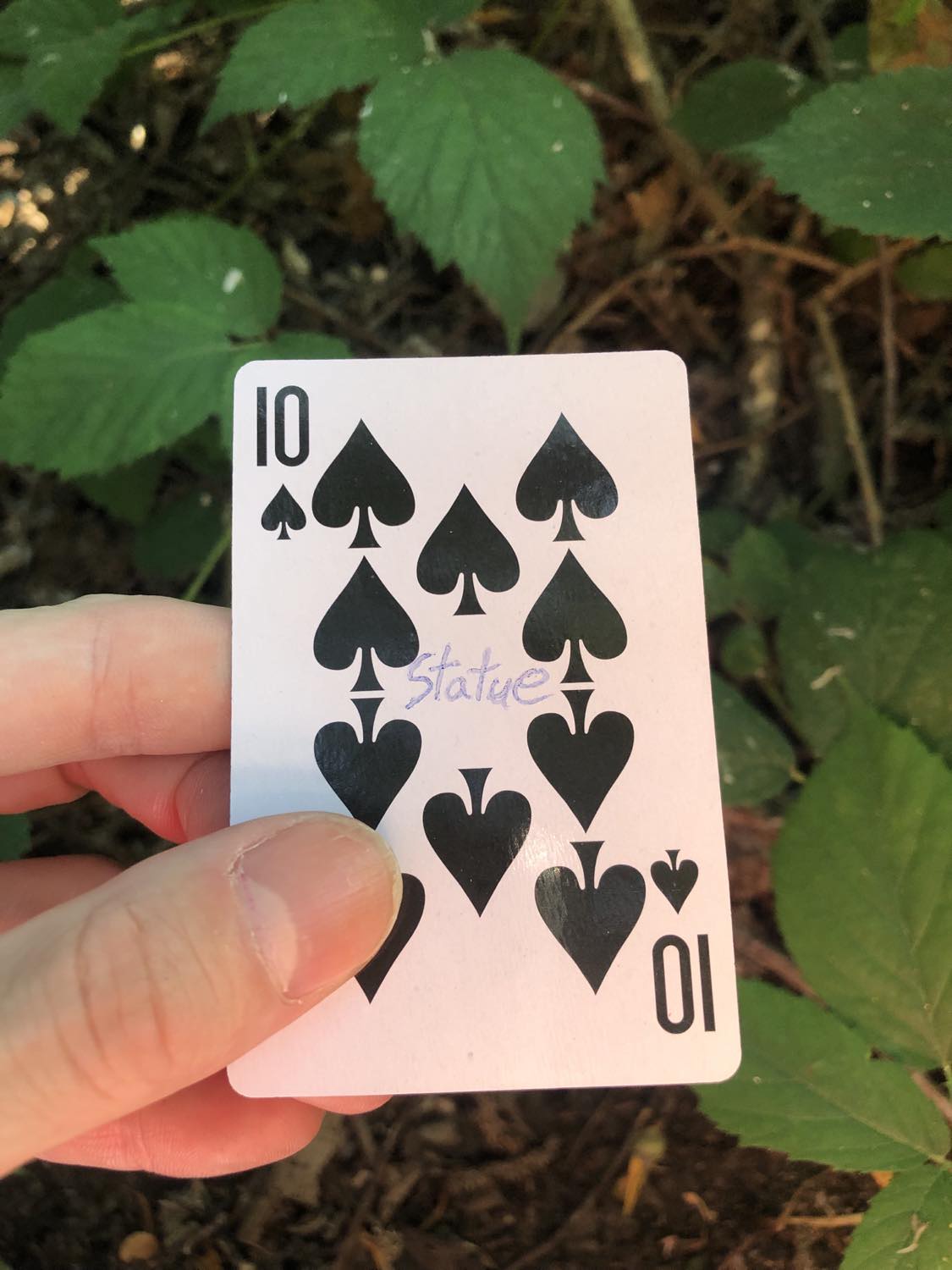 The ten of spades with the word Statue written on it, held above the brush.