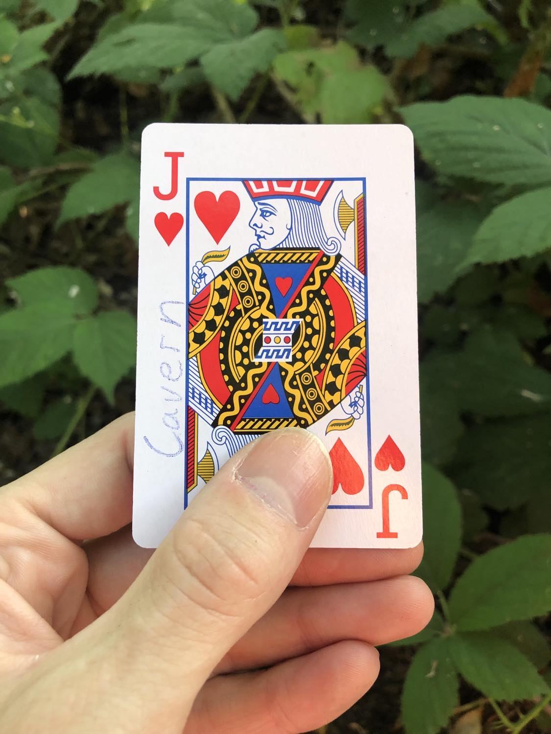 The jack of hearts with the word Cavern written on it, held above the brush.