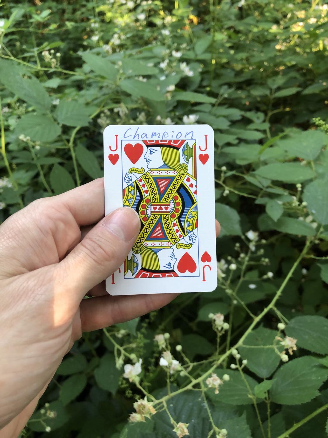 The jack of hearts with the word Champion written on it, held above the flowers.